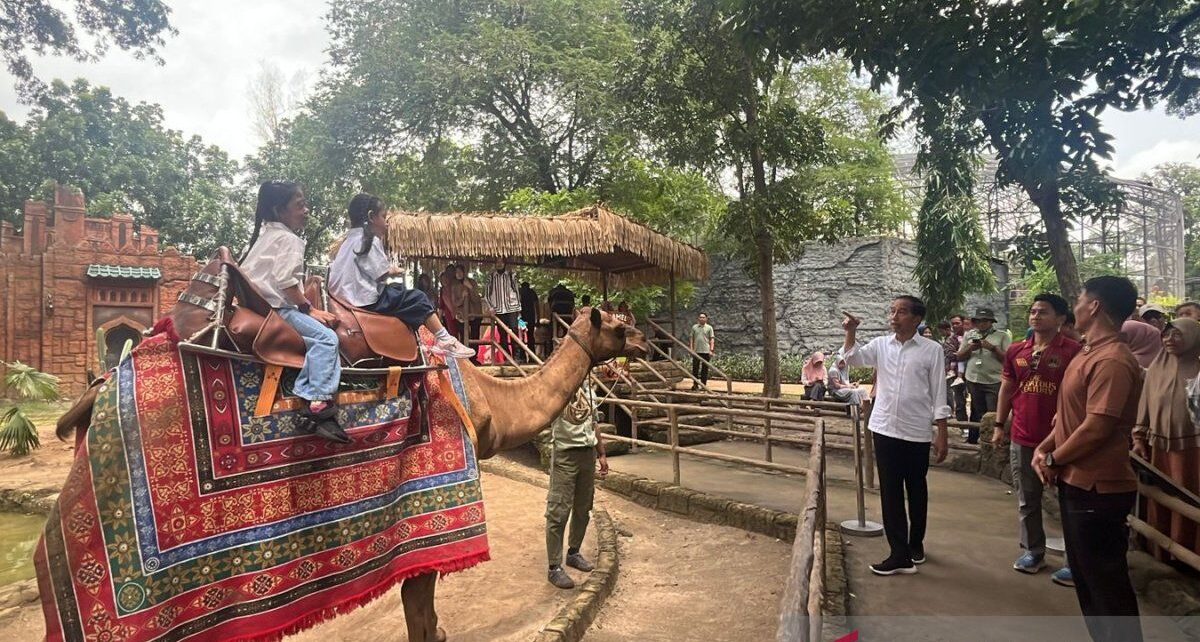 Libur akhir tahun, Jokowi ajak para cucu tamasya ke Solo Safari