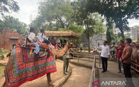 Libur akhir tahun, Jokowi ajak para cucu tamasya ke Solo Safari