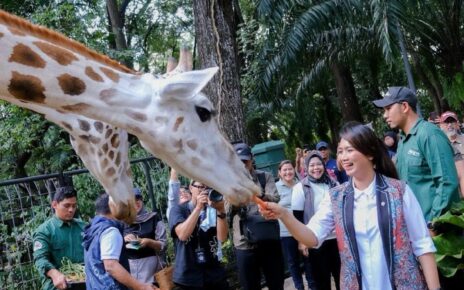 Wakil Menteri Pariwisata tinjau fasilitas Taman Margasatwa Ragunan